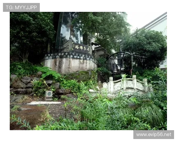 安吉体育联赛（安吉球队）sports