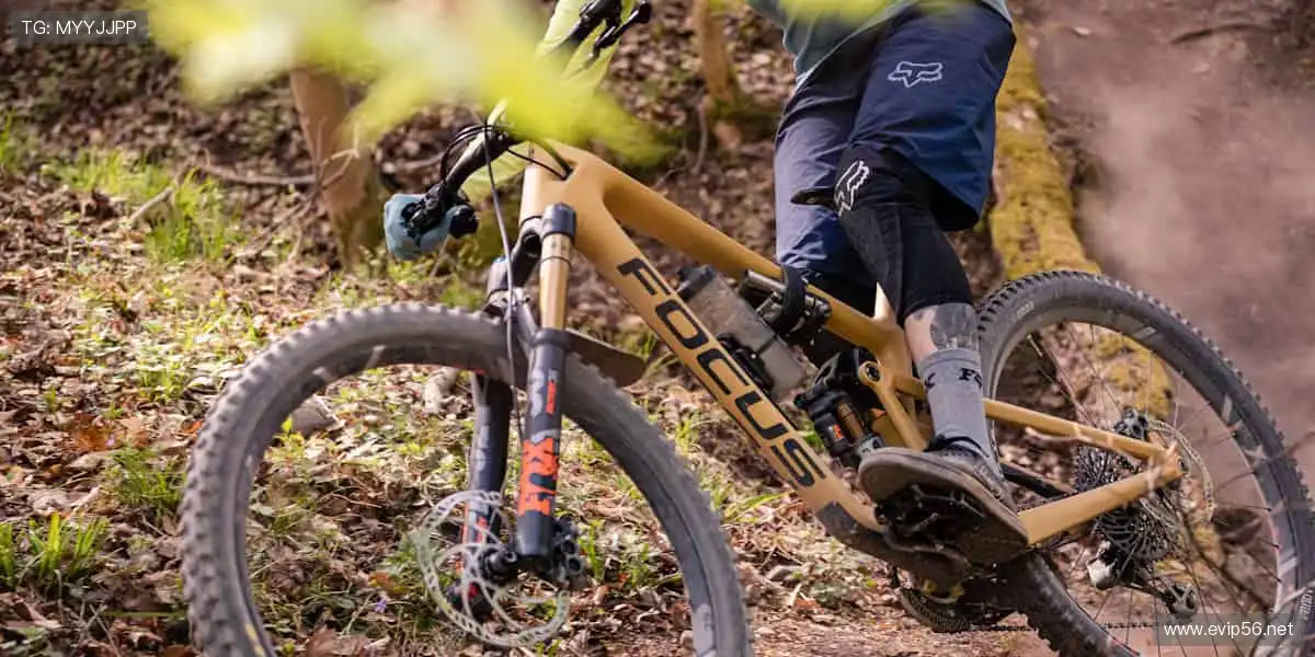 「从草根到巅峰,每一份坚持都值得被记录!📸上传你的故事,赢取专属奖励!」